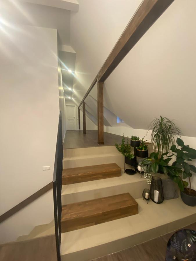 Kamurke - Guest House Šiauliai Exteriér fotografie